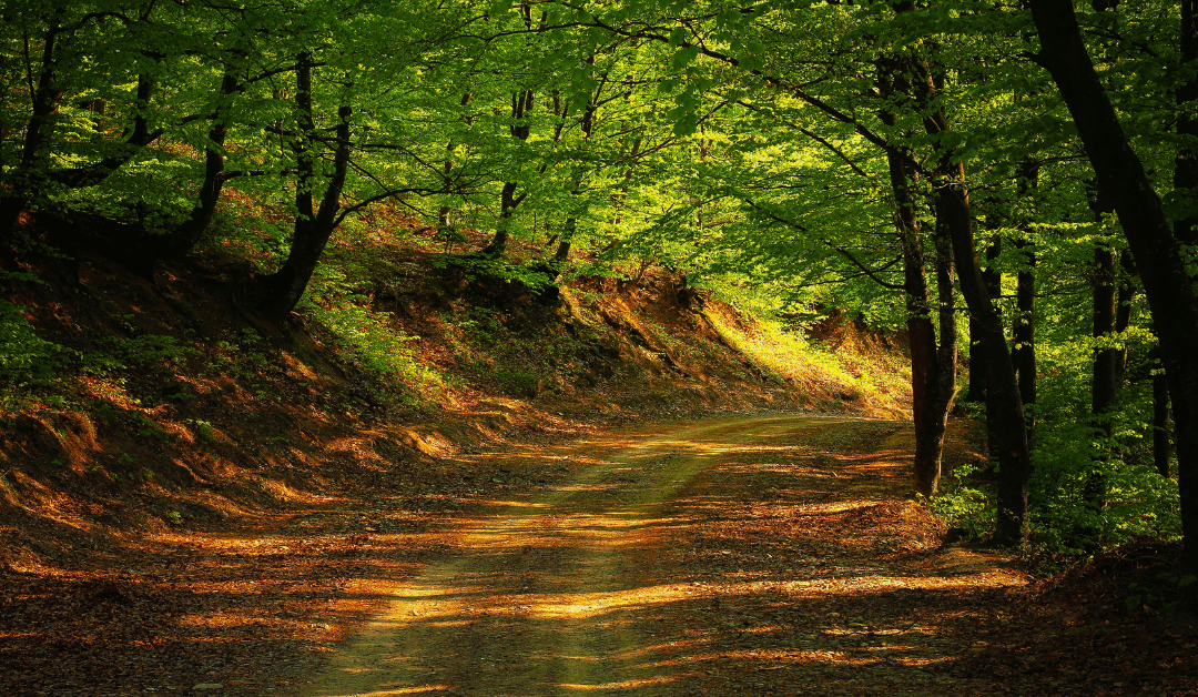 2 Years Sober: What I’ve Learned About Self Honour and Surrender