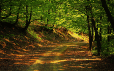 2 Years Sober: What I’ve Learned About Self Honour and Surrender