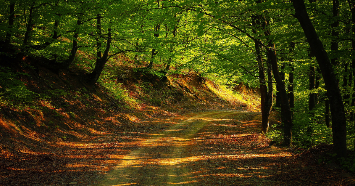 2 Years Sober: What I’ve Learned About Self Honour and Surrender 2 Years Sober: What I’ve Learned About Self Honour and Surrender