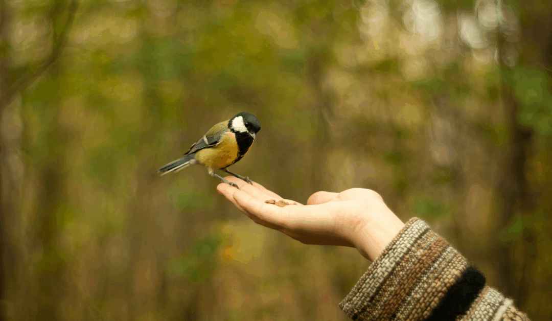 How to Learn to Trust Yourself