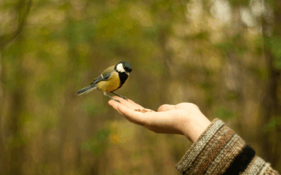 How to Learn to Trust Yourself