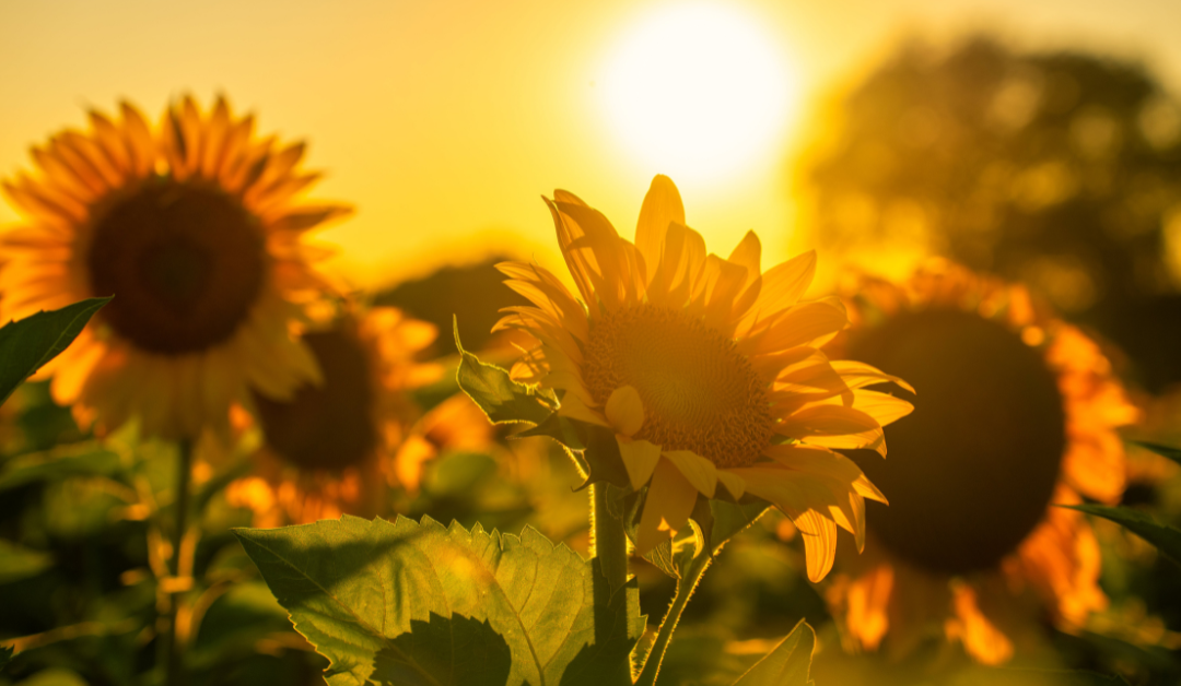 Spiritual Awakening & Self-Leadership: Why Spirituality Has No Rules or Gurus