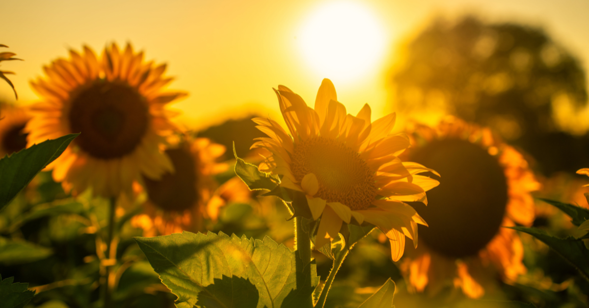 Spiritual Awakening & Self-Leadership: Why Spirituality Has No Rules or Gurus